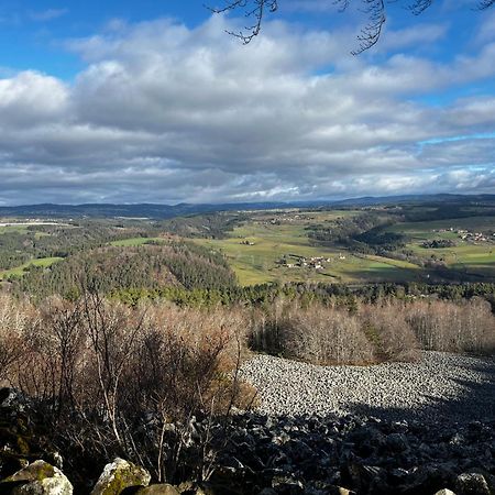 Les Roulottes De La Ferme Des Chanaux Saint-Julien-d'Ance Екстер'єр фото